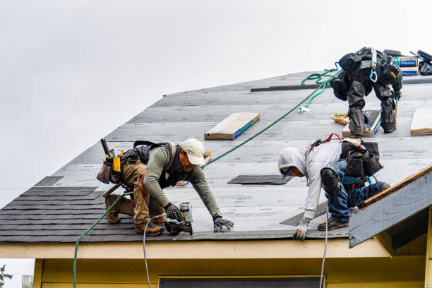 Professional Gutter Installation technician working in Maxbass, ND